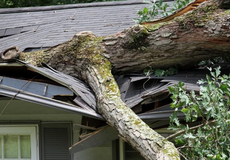Fallen tree damaging residential roof with broken shingles and roof structure.