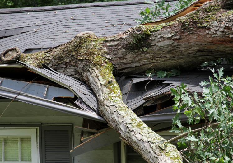 storm-damage-roof-repair-wisconsin